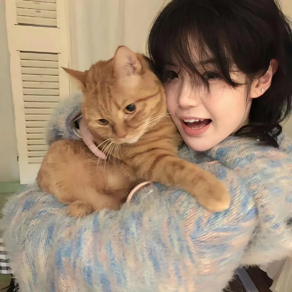 大侦探波洛第十二季